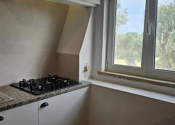 Quinta Do Lagar - 05 ヴィラ